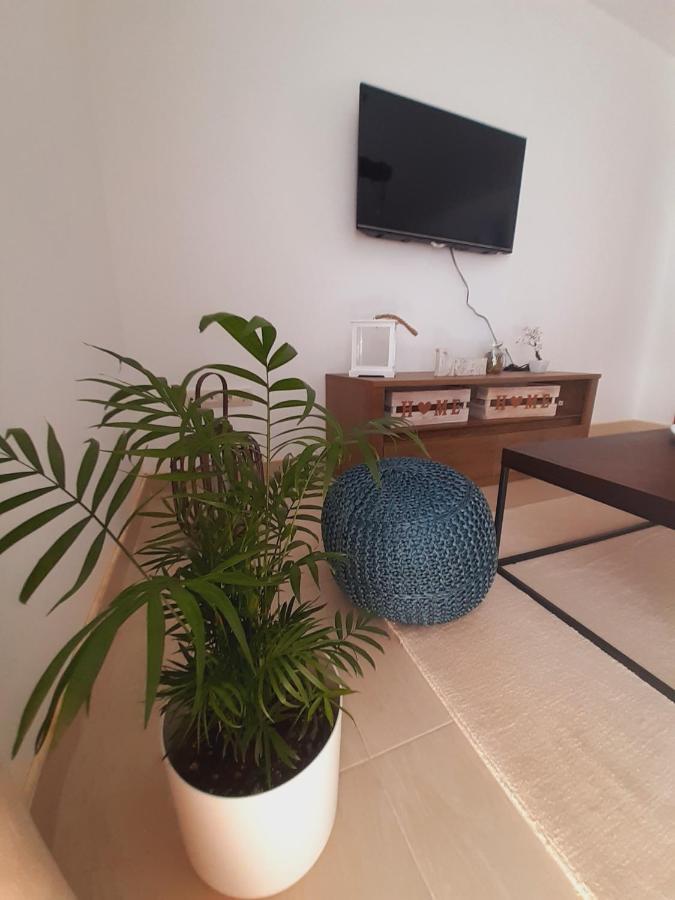 Apartment Macic Dub I Kotor
